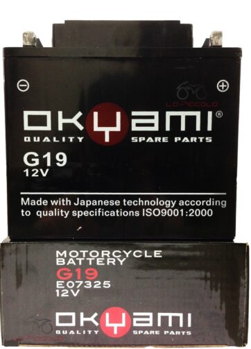 batteria okyami g19